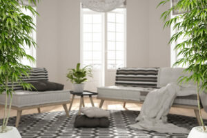 Zen interior with potted bamboo plant, natural interior design concept, scandinavian minimalist living room with big windows and carpet, contemporary modern architecture concept idea