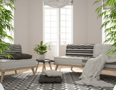 Zen interior with potted bamboo plant, natural interior design concept, scandinavian minimalist living room with big windows and carpet, contemporary modern architecture concept idea