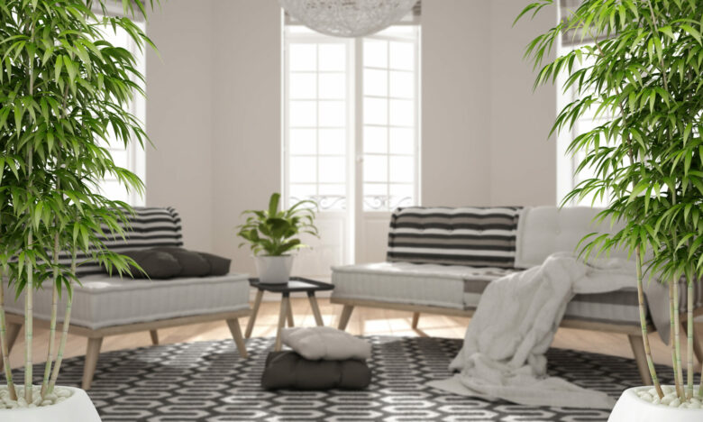 Zen interior with potted bamboo plant, natural interior design concept, scandinavian minimalist living room with big windows and carpet, contemporary modern architecture concept idea